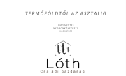   Lth Csaldi Gazdasg